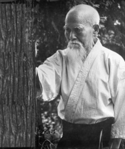 O Sensei